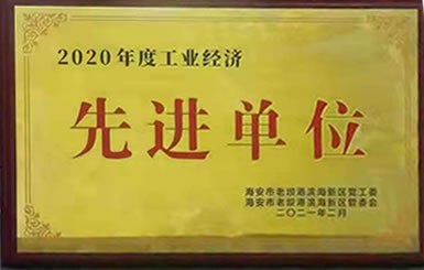 熱烈祝賀我公司獲得2020年“工業(yè)經(jīng)濟(jì)先進(jìn)單位”稱號